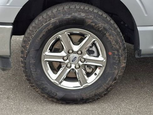 Used 2025 Ford F150 XLT w/ Equipment Group 301A Standard AWD/4WD image 8