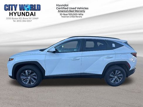 Used 2024 Hyundai Tucson Blue image 2