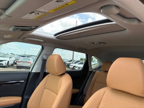 New 2026 Kia Seltos EX w/ EX Sunroof Package FWD image 15
