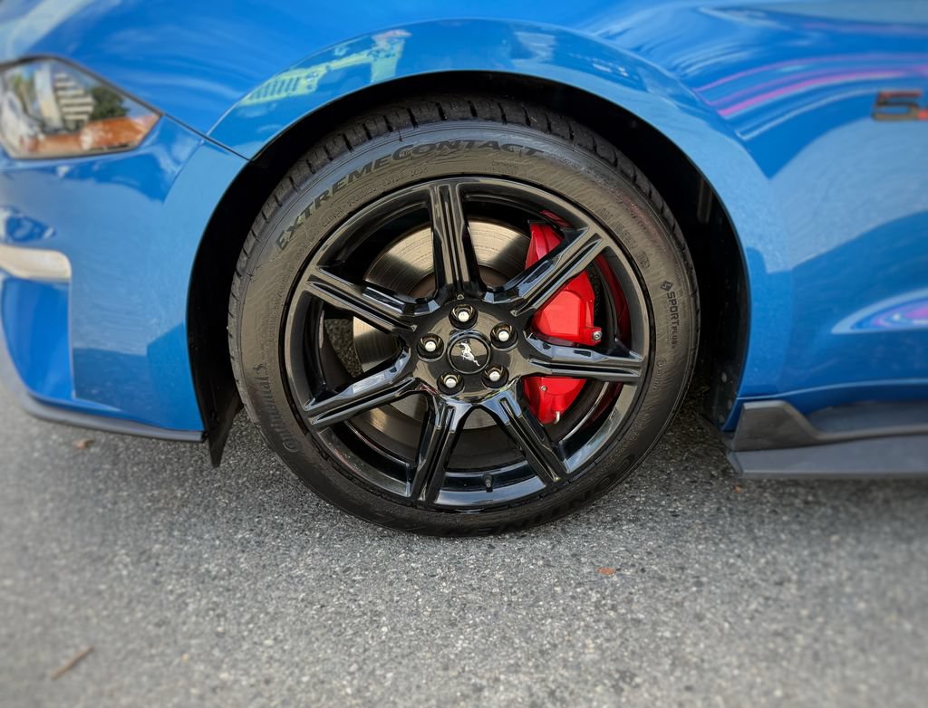 Used 2019 Ford Mustang GT w/ Equipment Group 301A RWD image 19