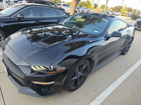 Used 2021 Ford Mustang Coupe w/ Equipment Group 101A RWD image 1