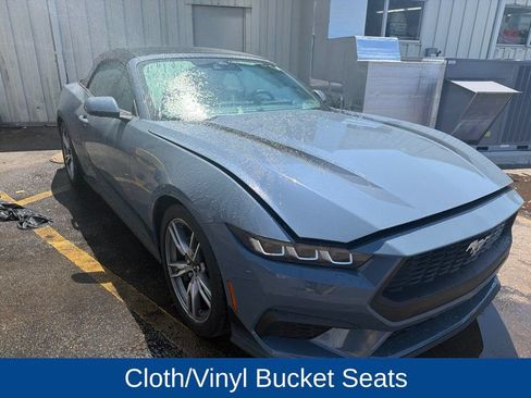 Used 2024 Ford Mustang Convertible w/ Wheel & Stripe Package RWD image 4