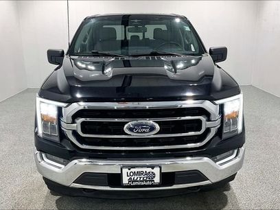 Used 2023 Ford F150 XLT w/ Equipment Group 302A High