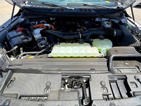 New 2025 Ford F150 XLT w/ Equipment Group 302A MID image 11