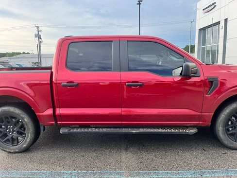 Used 2024 Ford F150 STX w/ STX Black Appearance Package RWD image 3