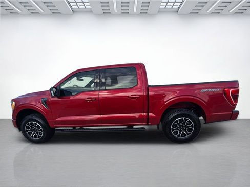 Used 2021 Ford F150 XLT w/ Equipment Group 302A High RWD image 6