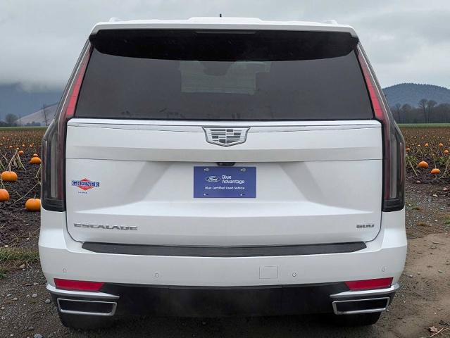 Used 2023 Cadillac Escalade Premium Luxury Platinum w/ LPO, Radiant Package AWD/4WD image 5