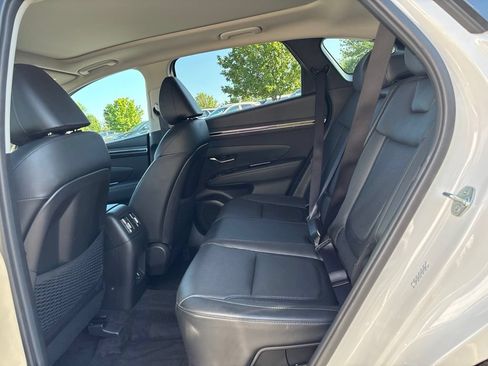 Used 2024 Hyundai Tucson Limited AWD/4WD image 12