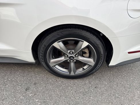 Used 2016 Ford Mustang Premium w/ Equipment Group 201A image 8