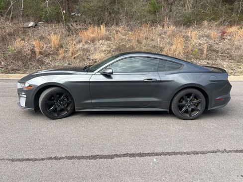 Used 2019 Ford Mustang Coupe w/ Equipment Group 101A image 4