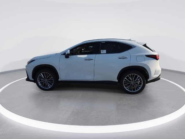 New 2026 Lexus NX 350 AWD w/ Luxury Package image 5