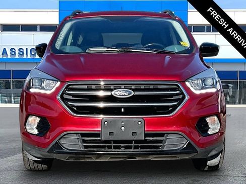 Used 2019 Ford Escape SE FWD image 18