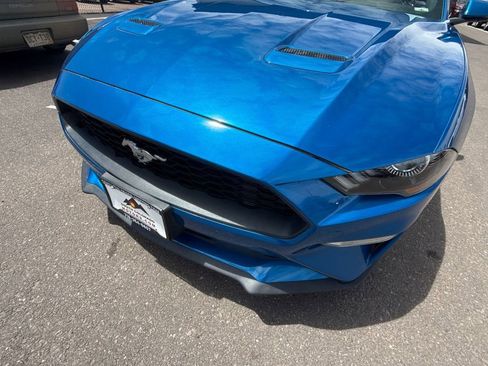 Used 2019 Ford Mustang Premium w/ Equipment Group 201A RWD image 9