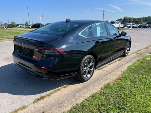 Used 2023 Honda Accord EX-L image 3