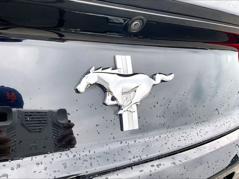 Used 2015 Ford Mustang V6 image 24