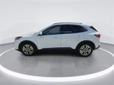 Used 2020 Ford Escape SEL image 5