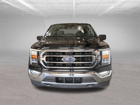 Used 2021 Ford F150 XLT w/ Equipment Group 302A High AWD/4WD image 2