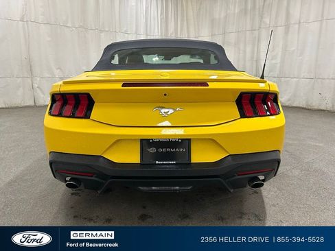 Used 2024 Ford Mustang Premium image 7