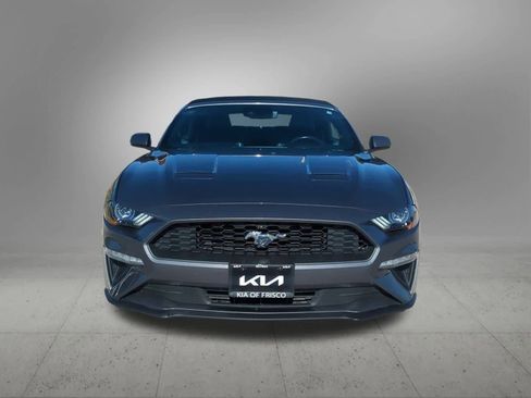 Used 2023 Ford Mustang Premium image 9