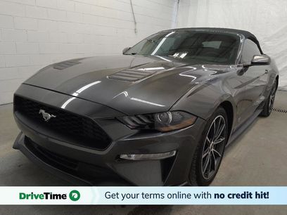 Used 2019 Ford Mustang Premium w/ Equipment Group 201A
