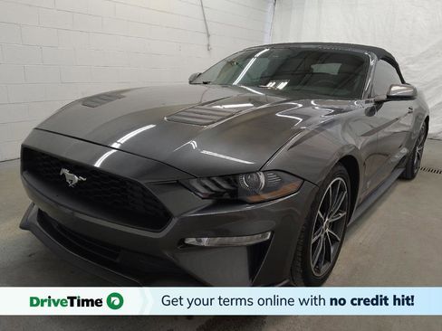 Used 2019 Ford Mustang Premium w/ Equipment Group 201A image 1