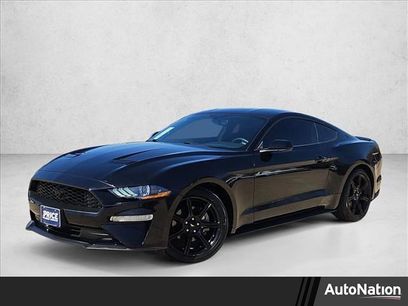 Used 2019 Ford Mustang Coupe w/ Equipment Group 101A