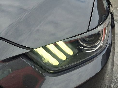 Used 2017 Ford Mustang GT w/ Black Accent Package image 9