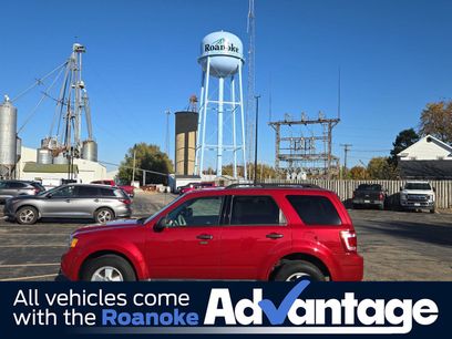 Used 2010 Ford Escape XLT