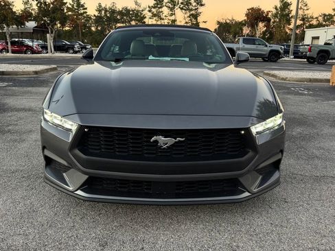 Used 2024 Ford Mustang Premium image 2