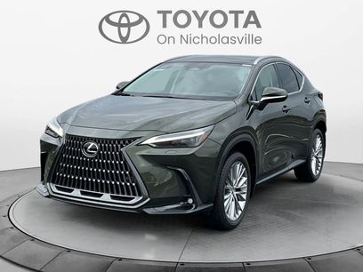 Used 2025 Lexus NX 350h AWD w/ Cold Area Package
