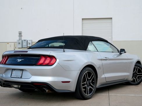Used 2019 Ford Mustang Premium RWD image 3