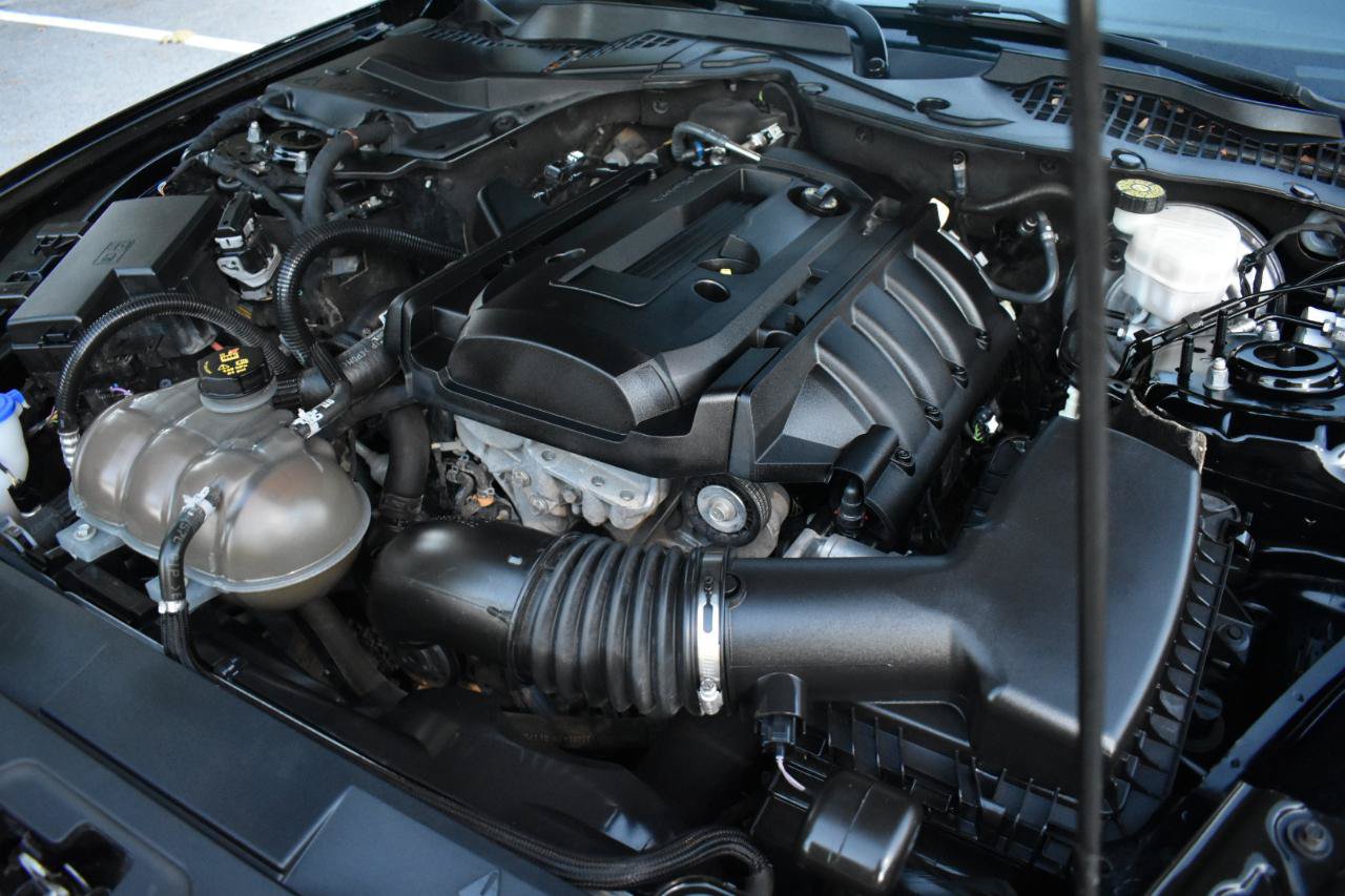 Used 2019 Ford Mustang Coupe RWD image 32