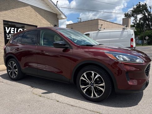 Used 2021 Ford Escape SE w/ SE Sport Appearance Package FWD image 7