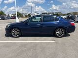 Used 2013 Honda Accord Sport image 2