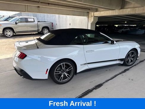 Used 2024 Ford Mustang Premium w/ Wheel & Stripe Package RWD image 14