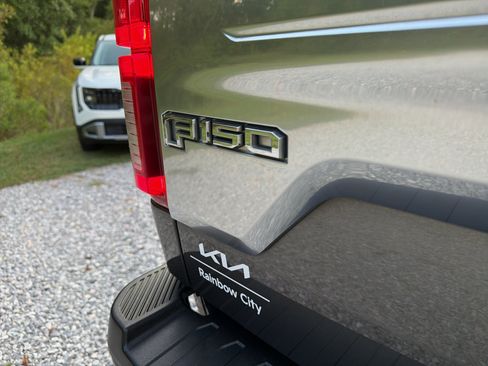 Used 2019 Ford F150 Platinum w/ Equipment Group 701A Luxury AWD/4WD image 13