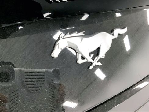 New 2026 Ford Mustang EcoBoostﾮ Fastback image 13