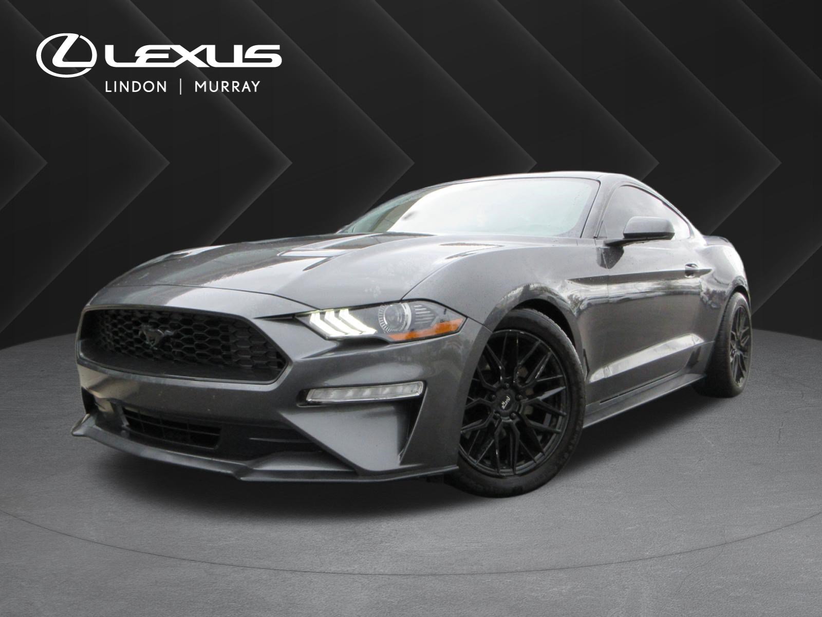 Used 2019 Ford Mustang Coupe w/ Wheel & Stripe Package RWD image 1