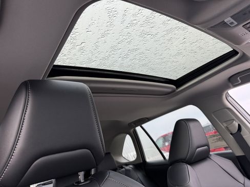 New 2025 Toyota RAV4 XLE Premium image 3