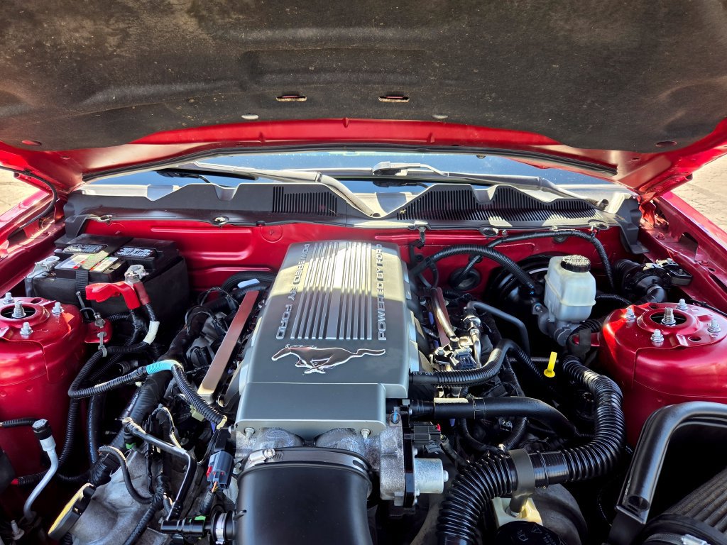 Used 2010 Ford Mustang GT RWD image 19
