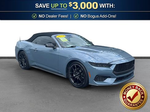 Used 2024 Ford Mustang Premium w/ Mustang Nite Pony Package RWD image 10