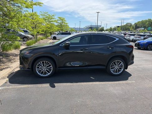 Used 2024 Lexus NX 350h AWD w/ Vision Package image 3