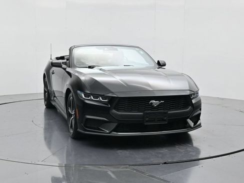 Used 2024 Ford Mustang Premium RWD image 5