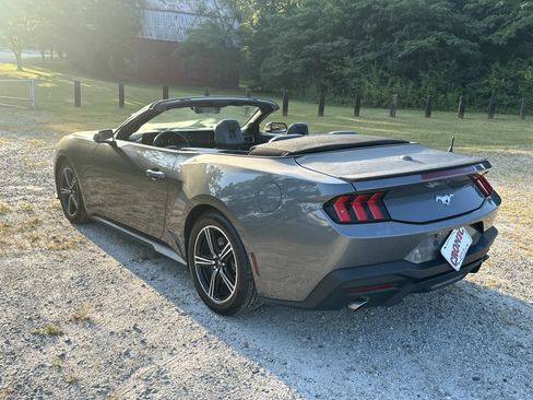 Used 2025 Ford Mustang Premium RWD image 7