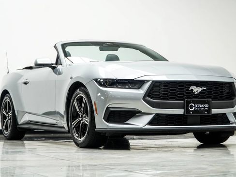 Used 2025 Ford Mustang Premium RWD image 4