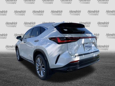 Used 2025 Lexus NX 350 AWD w/ Cold Area Package image 8