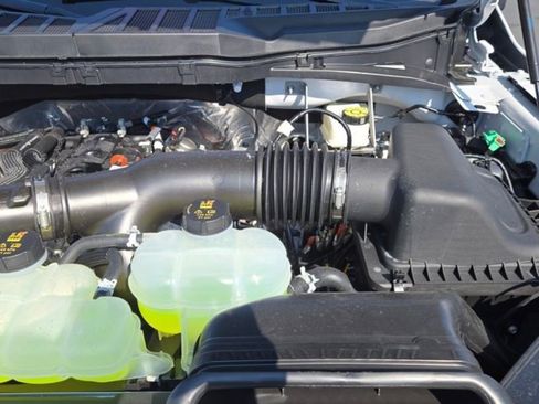 New 2025 Ford F150 XLT w/ Equipment Group 302A MID image 41