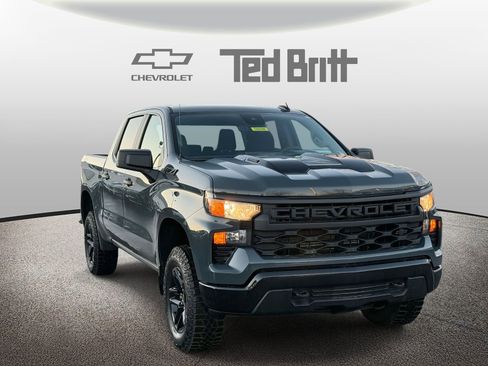 New 2026 Chevrolet Silverado 1500 Custom Trail Boss w/ Dark Appearance Package image 3
