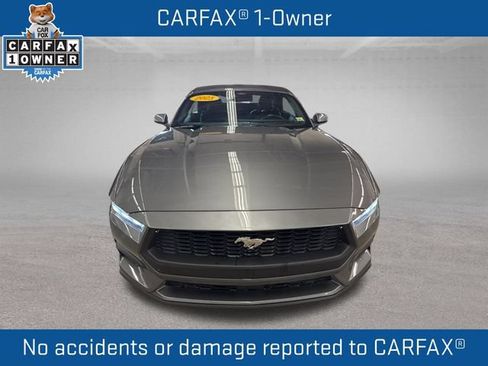 Used 2025 Ford Mustang Premium RWD image 2