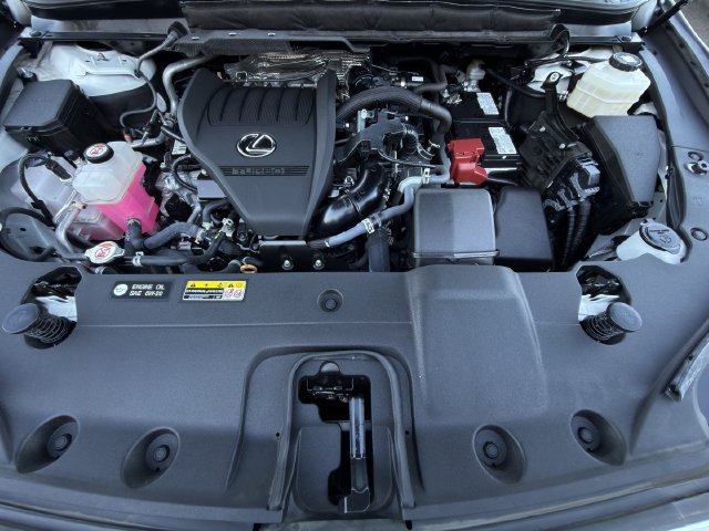 Used 2024 Lexus RX 350 Premium Plus w/ Convenience Package FWD image 34